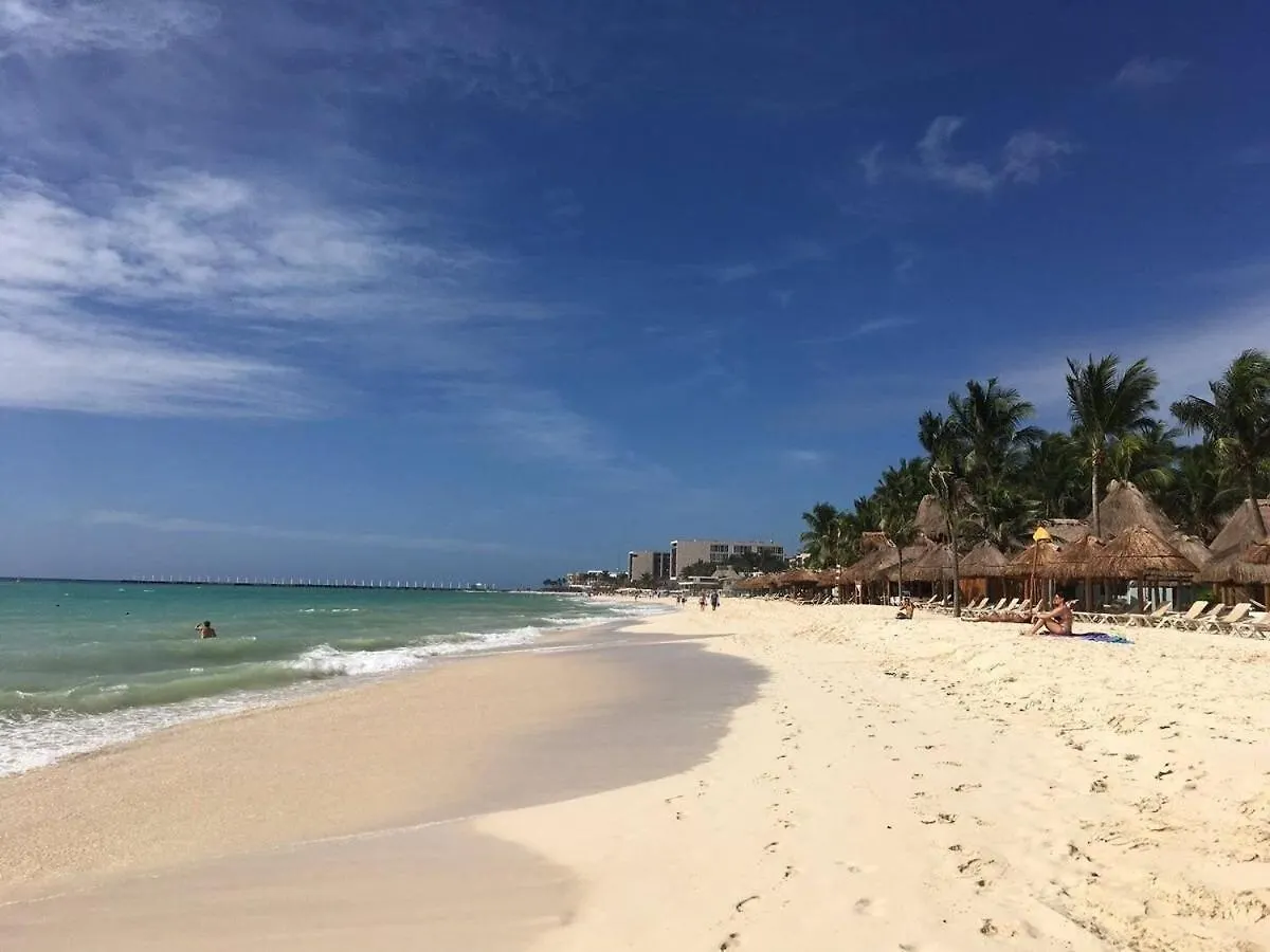 Depa De Lujo En El Corazon De La Riviera Maya Playa del Carmen